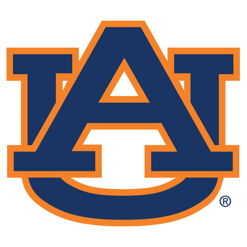 Auburn Tigers iron ons